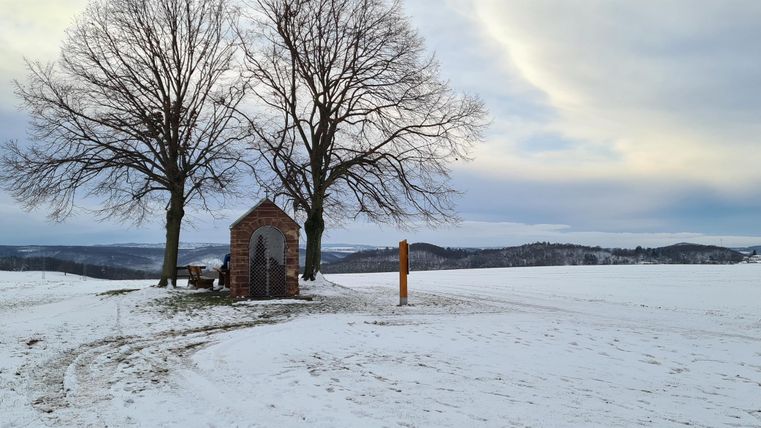 Eine verschneite Landschaft mit zwei großen Bäumen und einer kleinen Hütte. Im Hintergrund sind sanfte Hügel und ein bewölkter Himmel zu sehen.