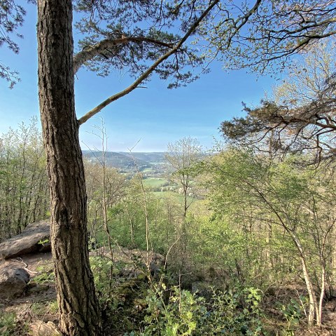 Nideggen Rath Kickley