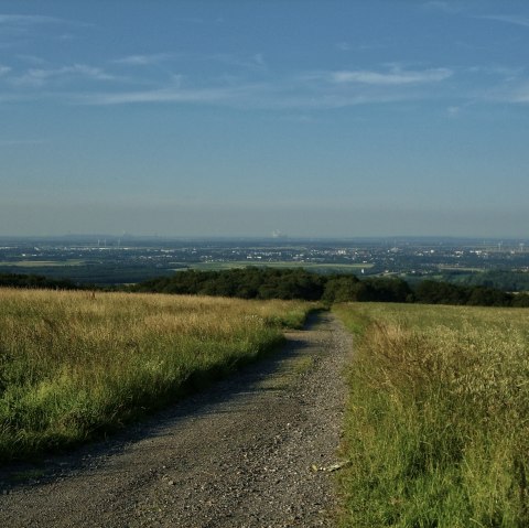 Ardbinna - weggedeelte