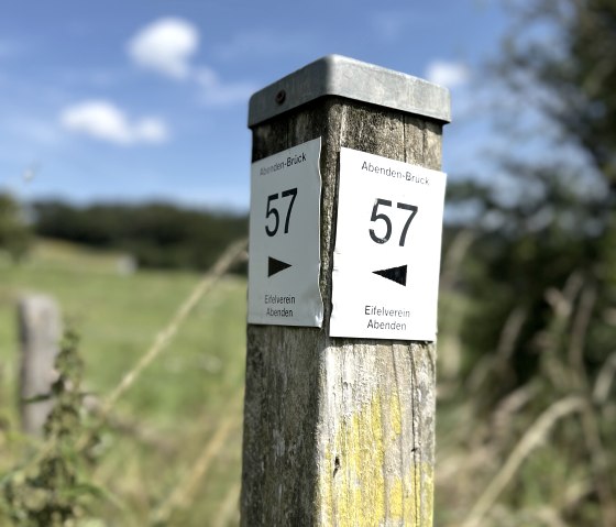 IMG_2343, &copy; Rureifel-Tourismus e.V., Michelle Wiesen