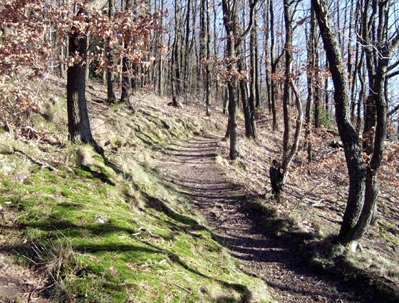 Sentier des rochers de Rather