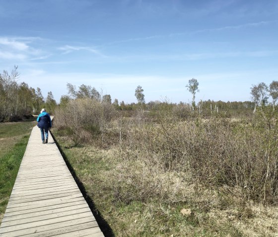 Par des passerelles à travers la Drover Heide., © Sophia Eckerle