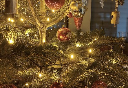 Weihnachtsbaum (c) Thei&szlig;en-Braun