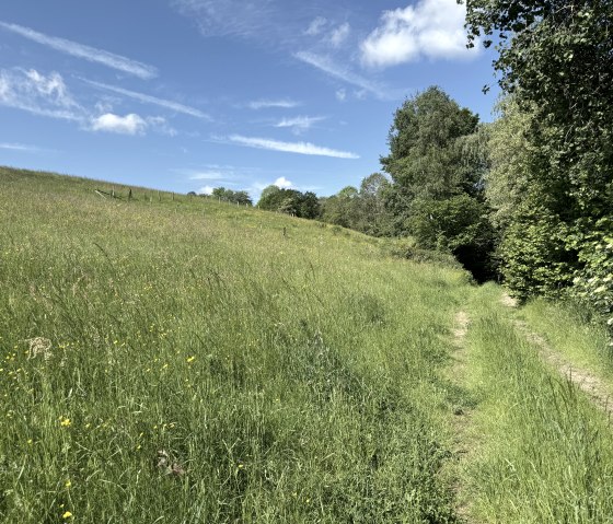Nationalpark Randweg Nr. 20, &copy; Rureifel-Tourismus e.V., Dennis Winands