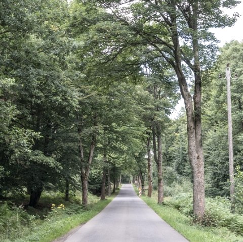 Quiet section, © some.oner