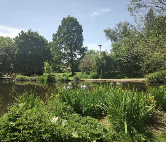 Holzbendenpark D&uuml;ren, &copy; Sophia Eckerle