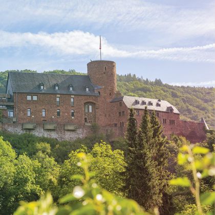 Eine beeindruckende Burg, umgeben von grünen Bäumen und Hügeln. Der Himmel ist klar und die Landschaft wirkt friedlich.