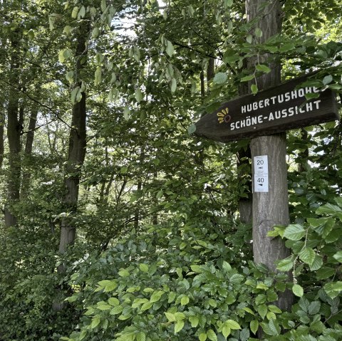 Nationalparkrandweg, &copy; Rureifel-Tourismus e.V., Dennis Winands