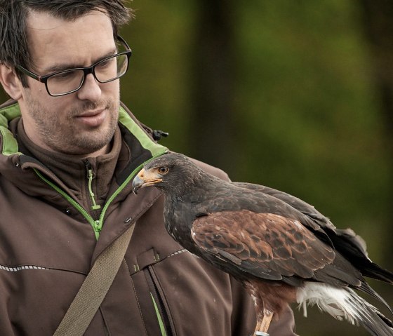 im Wildpark Schmidt, &copy; A. Baumbach
