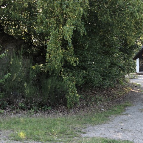Auf dem Weg zur Waldkapelle, &copy; Rureifel-Tourismus e.V.