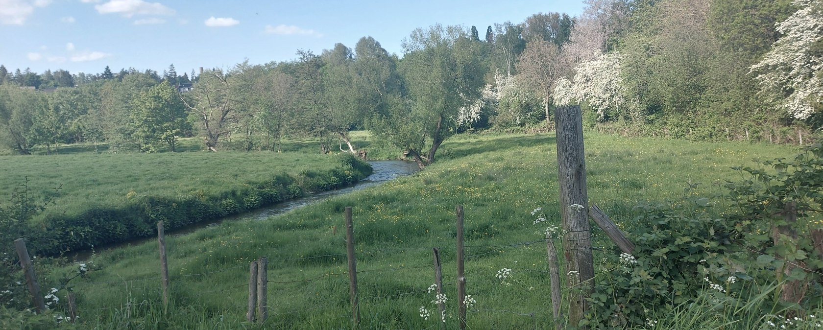 Fr&uuml;hlingsweg Gedau M&uuml;nsterbach Mai(co) Thei&szlig;en-Bra