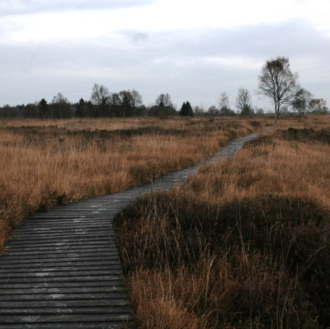 Herbst Morgen, &copy; Monschau Touristik GmbH - Heike Becker