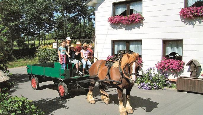 Ein Pferd zieht einen Wagen mit Kindern vor einem Haus. Darüber hinaus sind die Fenster mit Blumen geschmückt.