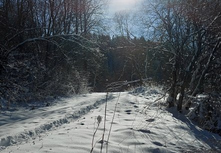 Wintersonne (co) Thei&szlig;en-Braun