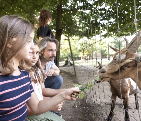 Familie am Tiergehege im Br&uuml;ckenkopf-Park, &copy; Tobias Vollmer | Eifel Tourismus GmbH