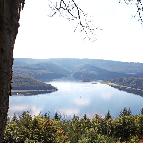 Uitzicht op de Rursee vanaf de kliffen