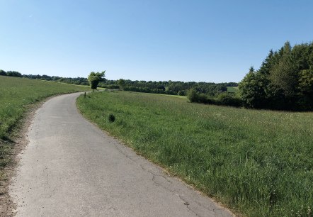 Wiesenaussicht Huppenbroich Juli-August (co) Thei&szlig;