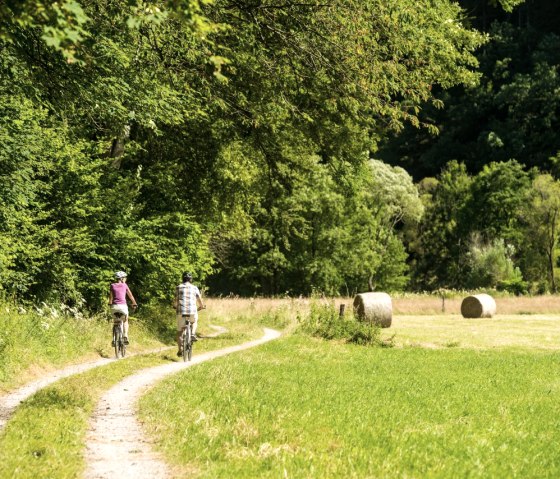 Reizen over het RurUfer fietspad, &copy; St&auml;dteRegion Aachen