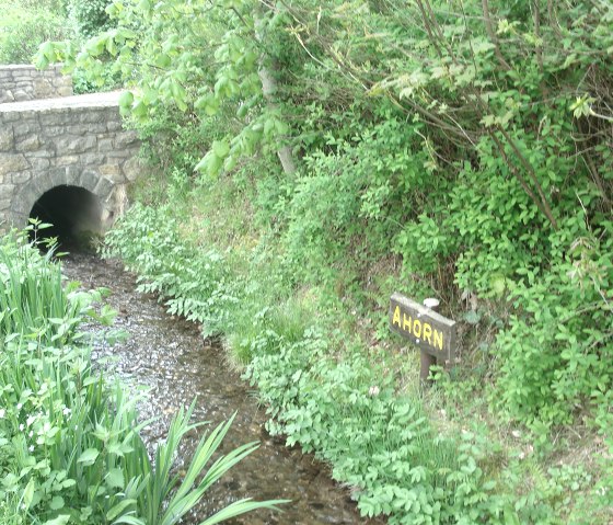 Beek in het Tiefsbachdal, &copy; Eifel-Yeti