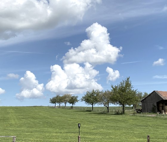 Aussicht hinterm Haus