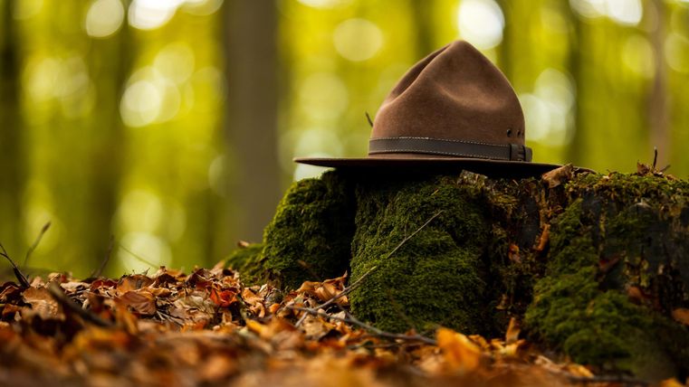 Ein Hut liegt auf einem moosbedeckten Baumstumpf im Wald. Die Umgebung ist von herbstlichen Blättern und weichem Licht geprägt.