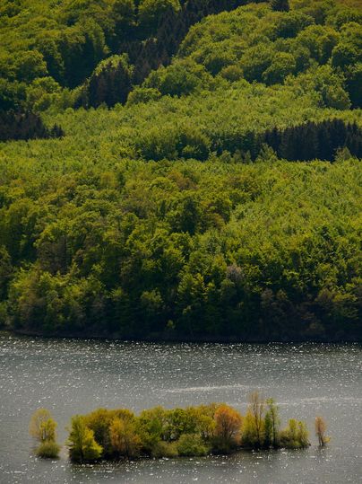 Ein ruhiger See umgeben von dichten Wäldern. Eine kleine Insel mit vereinzelten Bäumen befindet sich im Wasser.