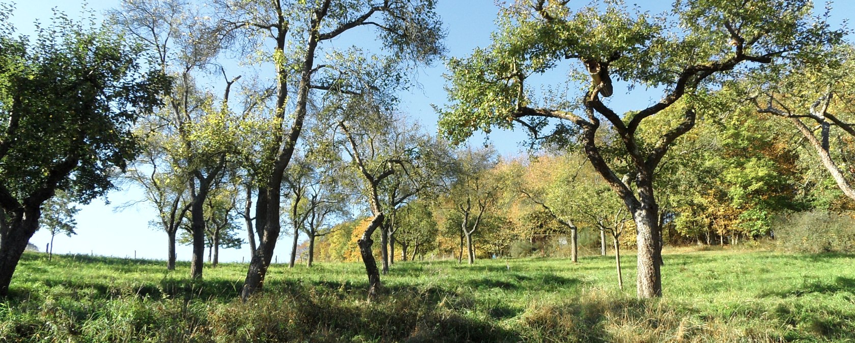 Across fields and meadows, © Eifel-Yeti