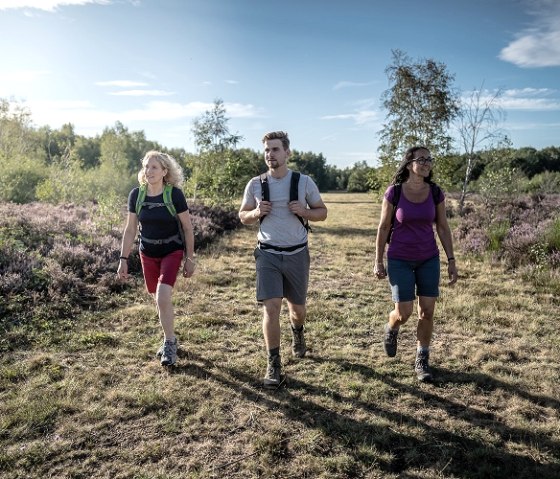 Wandelen op de Droverheide, © Kreis Düren_Dennis Stratmann