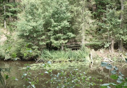 Idyllischer Waldsee, © Eifel heimisch