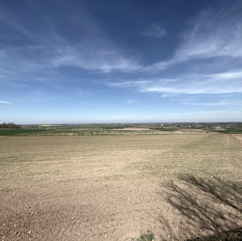 Uitzicht op het Börd landschap, © Rureifel-Tourismus e.V.