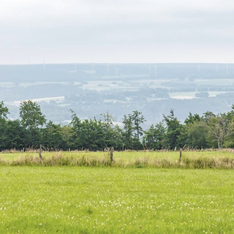 Aussicht vom Eifel-Blick Steling, &copy; Eifel Tourismus GmbH, AR-shapefruit AG