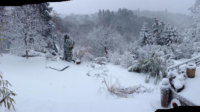 Eine verschneite Landschaft mit vielen Bäumen und Sträuchern. Der Garten ist komplett mit einer dicken Schneedecke bedeckt.