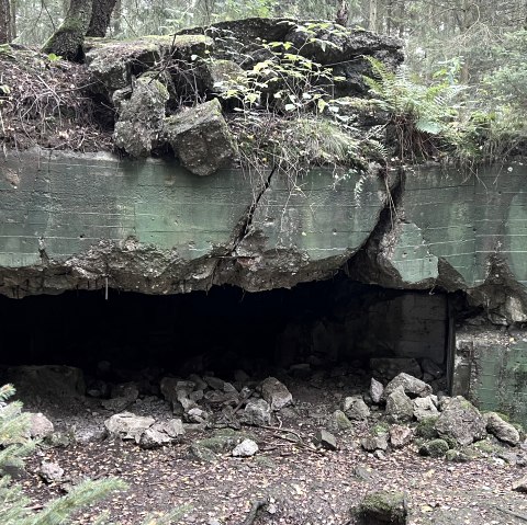 IMG_4973, &copy; Rureifel-Tourismus e.V., Michelle Wiesen