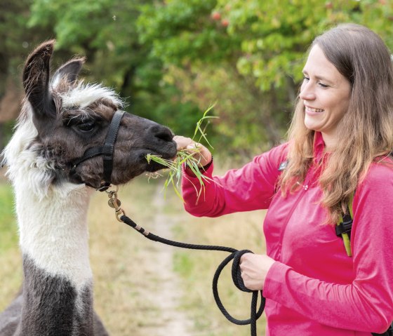 F&uuml;tterung, &copy; Eifel Tourismus GmbH, AR - shapefruit AG