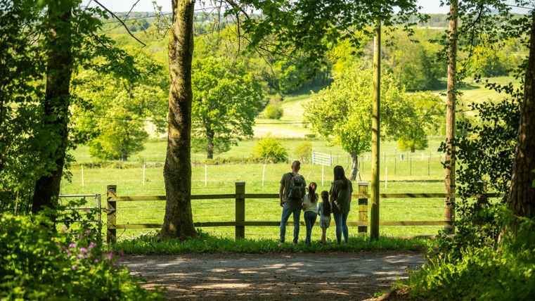 Eine Familie steht an einem Waldrand und blickt auf eine grüne Wiese. Üppige Bäume umrahmen die Szene und schaffen eine ruhige, natürliche Atmosphäre.