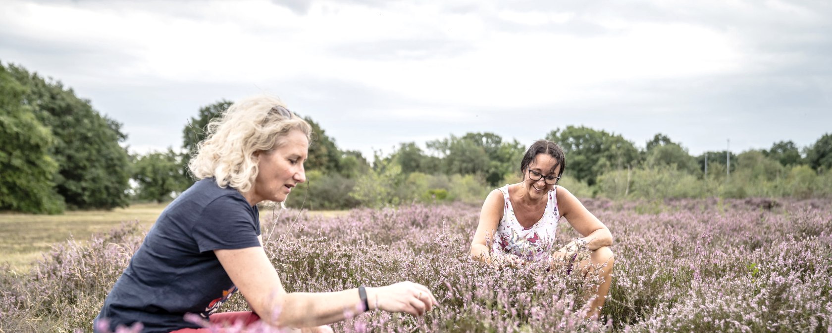 In de Drover Heide, © Dennis-Stratmann, Kreis-Düren