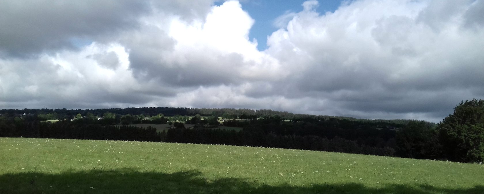 Sommeraussicht (co) Thei&szlig;en-Braun