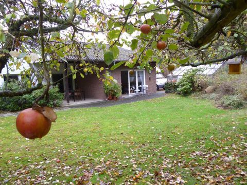 Ein gemütliches Haus mit einem Garten, in dem Äpfel an den Bäumen hängen. Der Rasen ist grün und die Herbstblätter sind auf dem Boden verteilt.