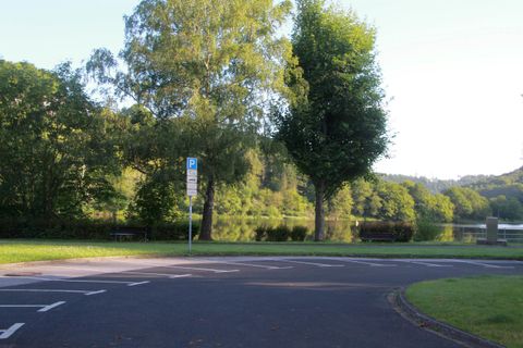 Eine ruhige Parklandschaft mit grünen Bäumen und einer sanften Fahrbahn. Im Hintergrund ist ein See zu sehen, der die Natur reflektiert.