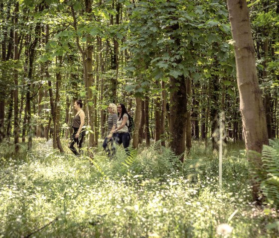 Rurauen, &copy; Dennis Stratmann | Kreis D&uuml;ren