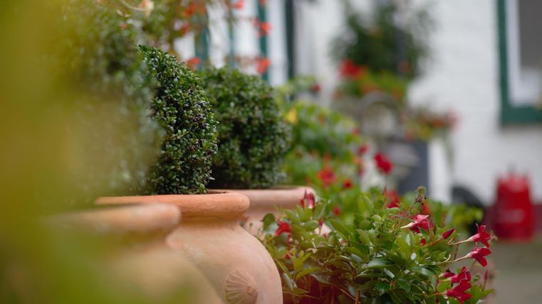 Eine schöne Gartenansicht mit Tontöpfen und bunten Blumen. Die grüne Bepflanzung schafft eine einladende Atmosphäre.