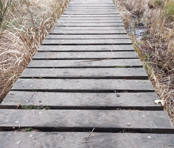 Venn-Stege (co) Thei&szlig;en-Braun