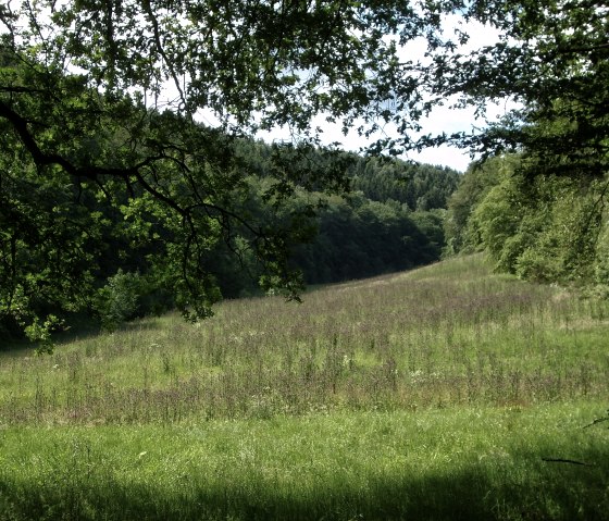Ardbinna green space