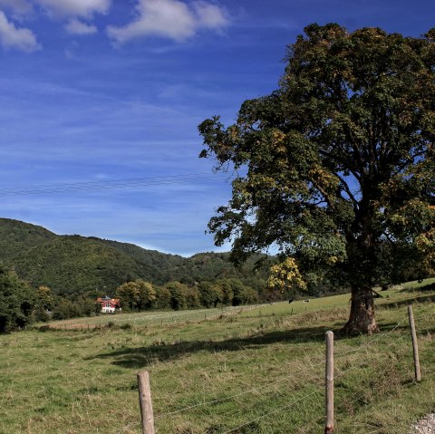 Uitzicht over velden en weiden