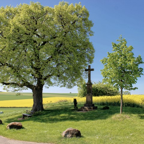 Vue sur la Börde Vlatten