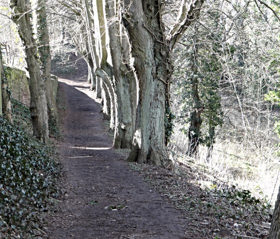 Vorbei an der Burg Nideggen, &copy; Karl-Heinz Rosenzweig, Der-eifelyeti.de, &copy; Der-eifelyeti.de
