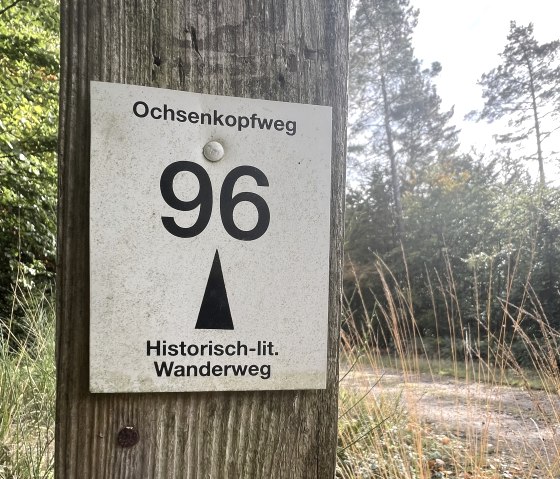 Wegbeschilderung, &copy; Rureifel-Tourismus e.V., Michelle Wiesen