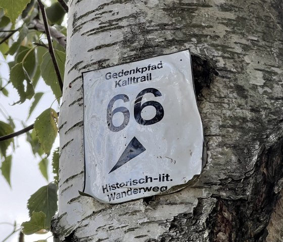 IMG_3655, &copy; Rureifel-Tourismus e.V., Michelle Wiesen