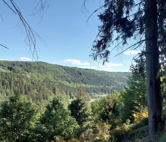 Ausblick Rurtal gr&uuml;n (co) Thei&szlig;en-Braun