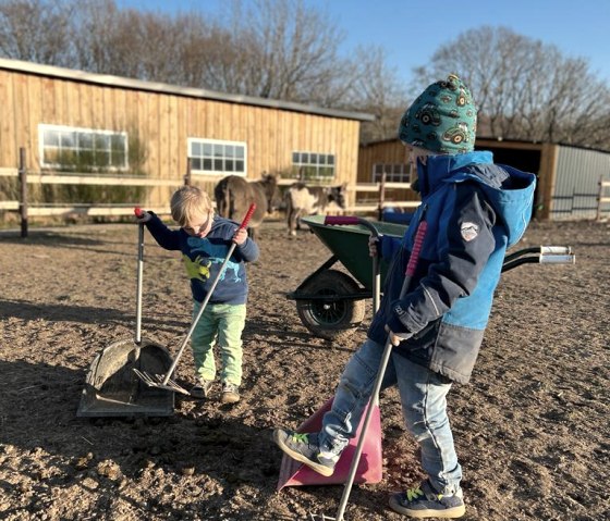 Esel-Pflege, &copy; Wildpark Schmidt